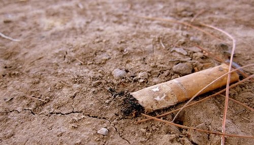 Would you have said something?